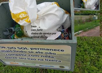 ANIMAL MORTO EM LIXEIRA PRÓXIMO À AFFOSOL MOSTRA O DESRESPEITO COM FREQUENTADORES DO LOCAL E COM O MEIO AMBIENTE