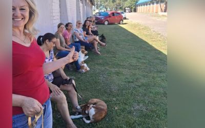 Prefeitura de Soledade realiza primeiras castrações de 2026 pelo Projeto Castrafácil