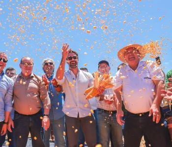COLHEITA DO MILHO É OFICIALMENTE ABERTA NO RIO GRANDE DO SUL
