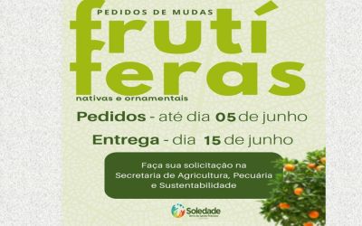 PEDIDOS DE MUDAS FRUTÍFERAS ABERTOS!