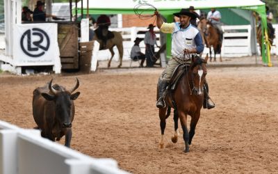 Provas campeiras desta sexta-feira (13) movimentam o XVI Rodeio Internacional de Soledade