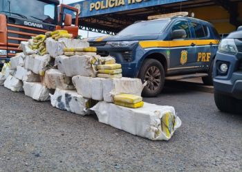 Quase 700 kg de maconha apreendidos pela PRF em Itumbiara, na BR-452