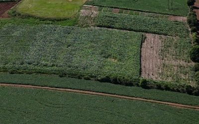 PREFEITURA DE SOLEDADE E EMATER DESENVOLVEM ESPAÇO PARA CAPACITAÇÃO DE AGRICULTORES