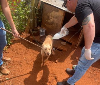PREFEITURA DE ESPUMOSO INTENSIFICA COMBATE A CARRAPATOS NO BAIRRO SÃO VALENTIM