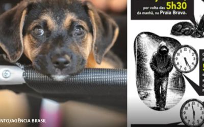 CÃO ORELHA: POLÍCIA USA IMAGENS E DADOS DE CELULAR PARA DESVENDAR CASO